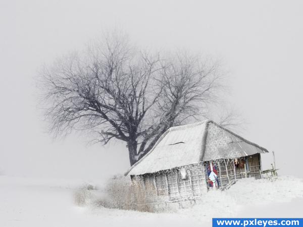 Doomed in snow